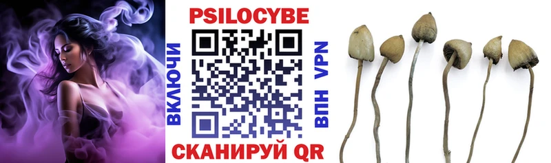 Галлюциногенные грибы Cubensis  Люберцы 